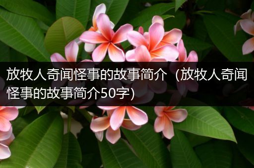 放牧人奇闻怪事的故事简介（放牧人奇闻怪事的故事简介50字）