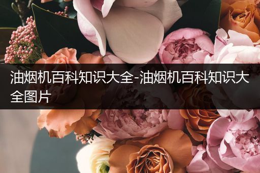 油烟机百科知识大全-油烟机百科知识大全图片