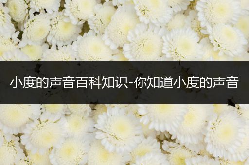 小度的声音百科知识-你知道小度的声音