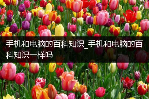 手机和电脑的百科知识_手机和电脑的百科知识一样吗