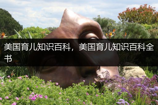 美国育儿知识百科，美国育儿知识百科全书