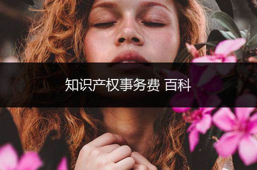 知识产权事务费 百科