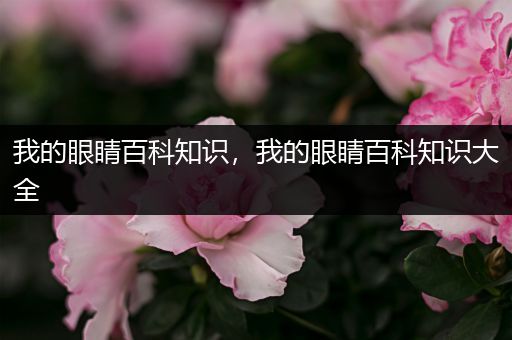 我的眼睛百科知识，我的眼睛百科知识大全