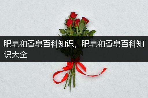 肥皂和香皂百科知识，肥皂和香皂百科知识大全