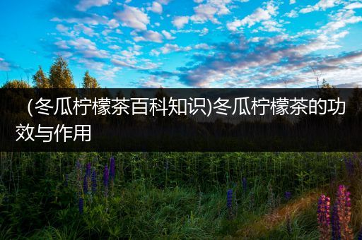 （冬瓜柠檬茶百科知识)冬瓜柠檬茶的功效与作用