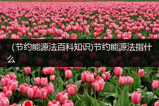 （节约能源法百科知识)节约能源法指什么