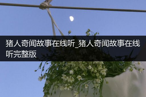 猪人奇闻故事在线听_猪人奇闻故事在线听完整版