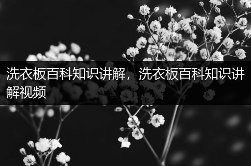 洗衣板百科知识讲解，洗衣板百科知识讲解视频