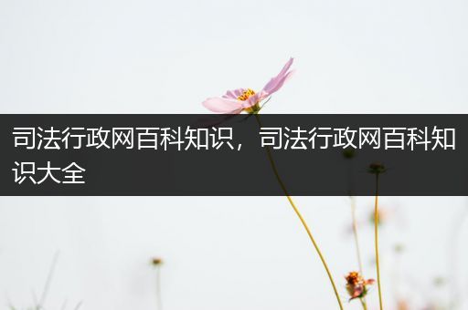 司法行政网百科知识，司法行政网百科知识大全