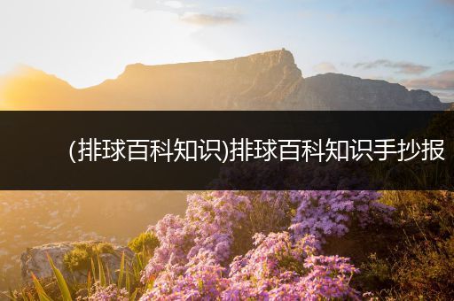 （排球百科知识)排球百科知识手抄报