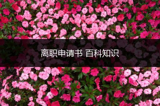 离职申请书 百科知识