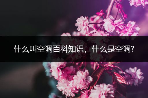 什么叫空调百科知识，什么是空调?