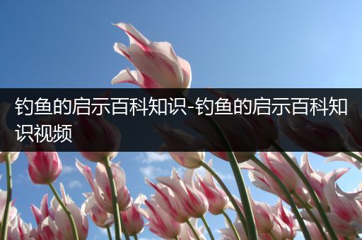 钓鱼的启示百科知识-钓鱼的启示百科知识视频