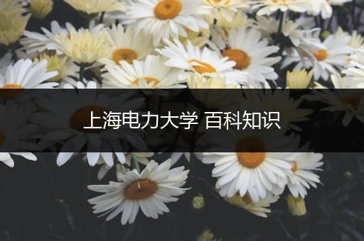 上海电力大学 百科知识