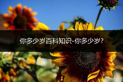 你多少岁百科知识-你多少岁?