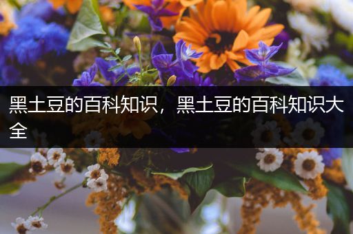 黑土豆的百科知识，黑土豆的百科知识大全