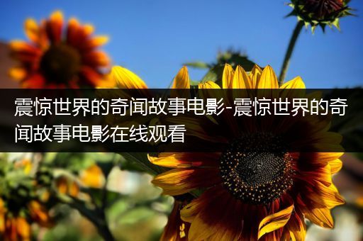 震惊世界的奇闻故事电影-震惊世界的奇闻故事电影在线观看