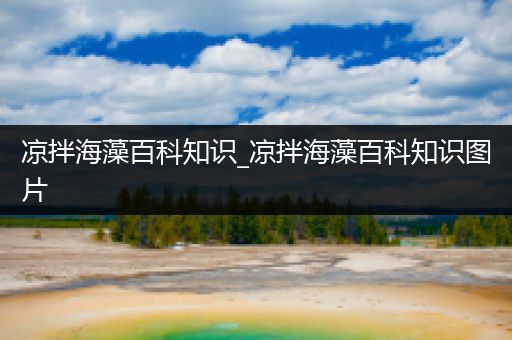凉拌海藻百科知识_凉拌海藻百科知识图片