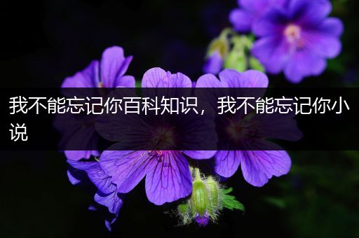 我不能忘记你百科知识，我不能忘记你小说