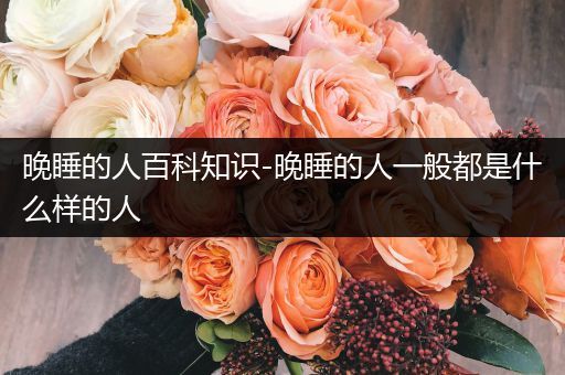 晚睡的人百科知识-晚睡的人一般都是什么样的人