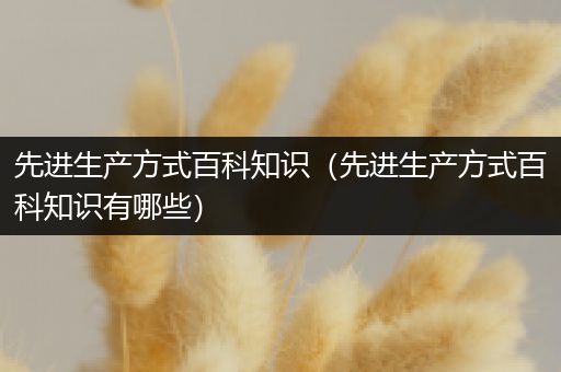 先进生产方式百科知识（先进生产方式百科知识有哪些）