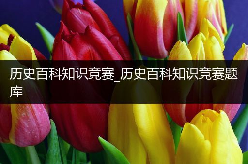 历史百科知识竞赛_历史百科知识竞赛题库