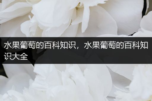 水果葡萄的百科知识，水果葡萄的百科知识大全