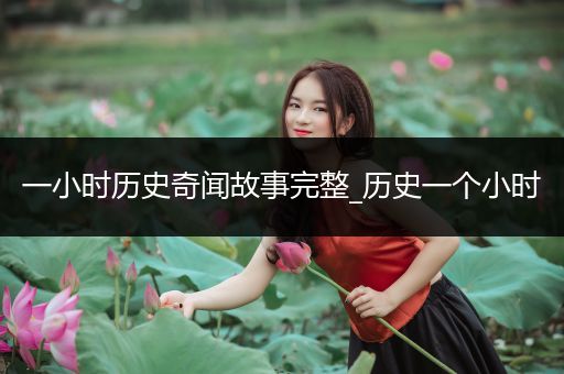 一小时历史奇闻故事完整_历史一个小时