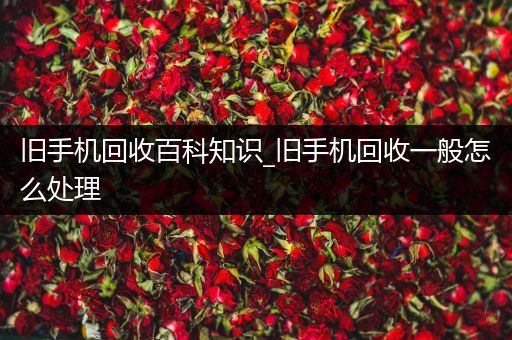 旧手机回收百科知识_旧手机回收一般怎么处理