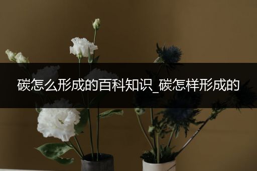 碳怎么形成的百科知识_碳怎样形成的