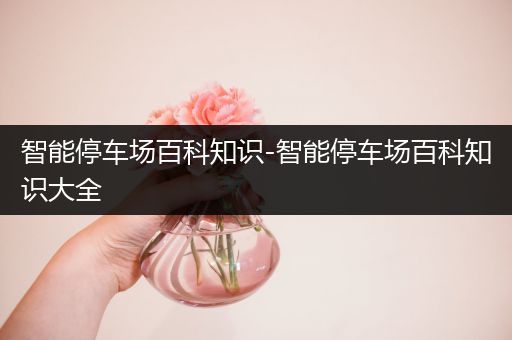 智能停车场百科知识-智能停车场百科知识大全