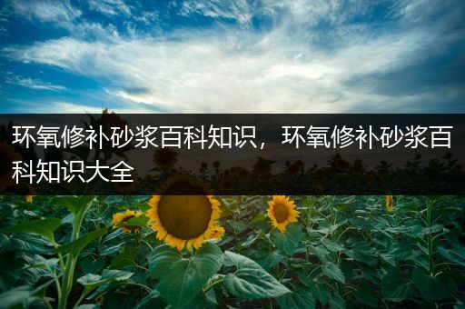 环氧修补砂浆百科知识，环氧修补砂浆百科知识大全