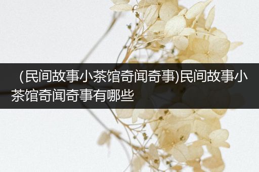 （民间故事小茶馆奇闻奇事)民间故事小茶馆奇闻奇事有哪些