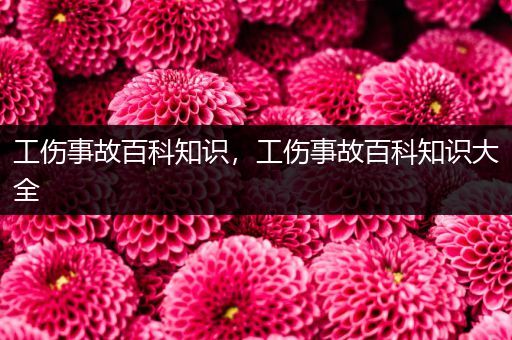 工伤事故百科知识，工伤事故百科知识大全