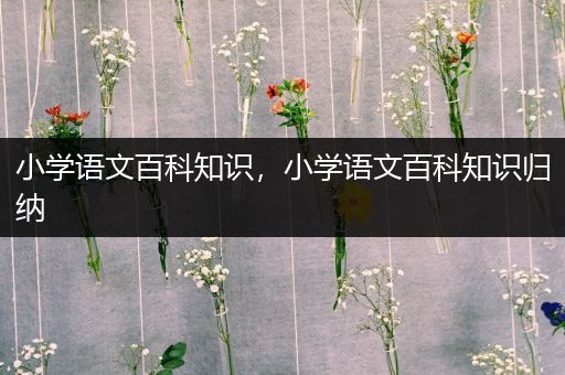 小学语文百科知识，小学语文百科知识归纳