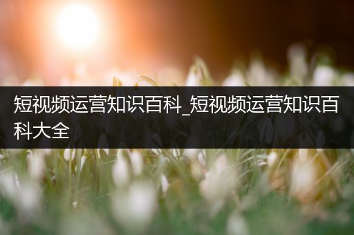 短视频运营知识百科_短视频运营知识百科大全