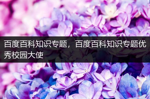 百度百科知识专题，百度百科知识专题优秀校园大使