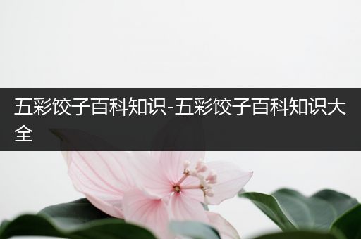 五彩饺子百科知识-五彩饺子百科知识大全