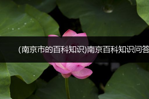 （南京市的百科知识)南京百科知识问答