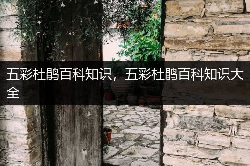 五彩杜鹃百科知识，五彩杜鹃百科知识大全