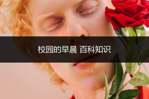 校园的早晨 百科知识