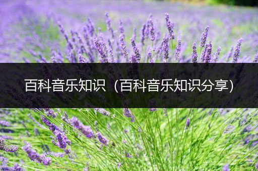 百科音乐知识（百科音乐知识分享）