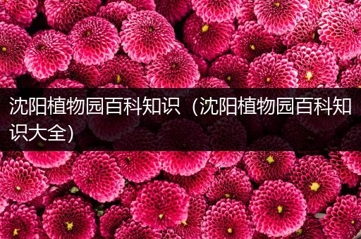 沈阳植物园百科知识（沈阳植物园百科知识大全）