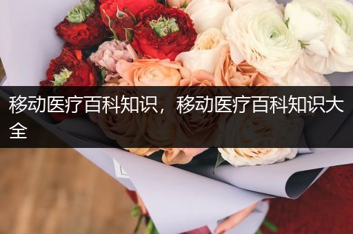 移动医疗百科知识，移动医疗百科知识大全
