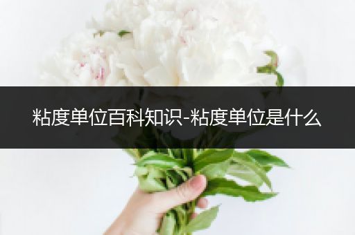 粘度单位百科知识-粘度单位是什么
