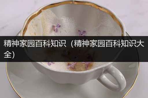 精神家园百科知识（精神家园百科知识大全）