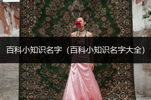 百科小知识名字（百科小知识名字大全）