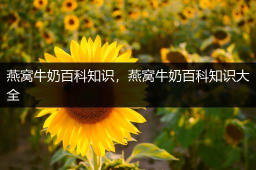 燕窝牛奶百科知识，燕窝牛奶百科知识大全