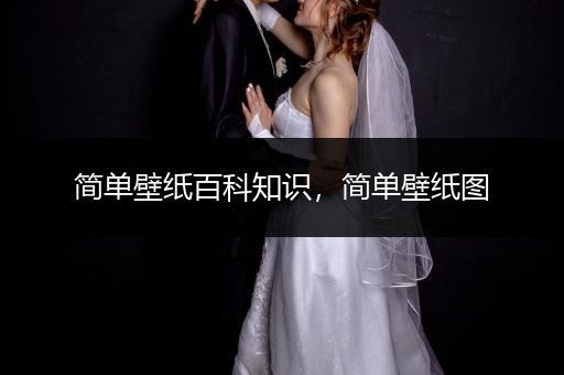 简单壁纸百科知识，简单壁纸图