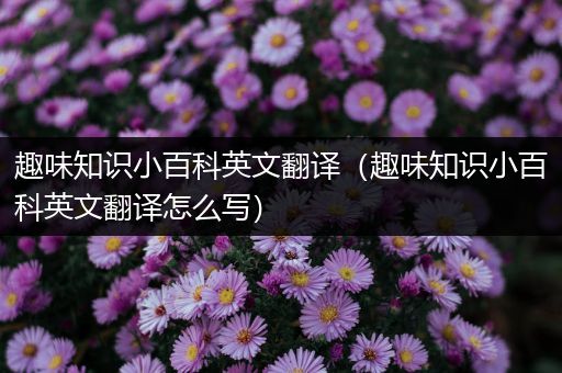 趣味知识小百科英文翻译（趣味知识小百科英文翻译怎么写）